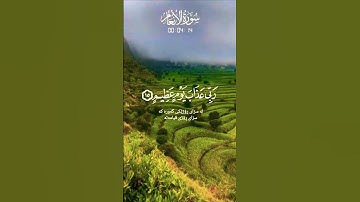 تلاوة هادئة تريح الأعصاب قرأن كريم راحة نفسية #قران_كريم #elmulquranعلم #اكسبلور  #قرآن #duet #trend