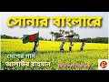 আমার সোনার বাংলা রে। Bangla Gan।   Amar Shonar Banglare। Alaur Rahman। Shonar Banglare Song । 