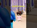 マロンがチョコアレルギーに！？#ロブロックス #roblox #ラッキーワールド