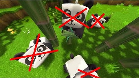 Cách giết gấu trúc panda trong MiniWorld