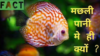 मछली को 3 सेकंड बाद कुछ याद क्यों नही रहती | मछली पानी में क्यों | fact about different type of fish