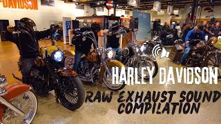 HarleyDavidson - Raw Exhaust sounds  - Compilation #harleydavidson #exhaustsound #harleysound