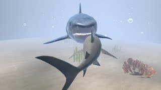 Great White Shark Vs All Boss - Ultimate Shark Simulator (By Gluten Free Games)