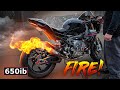 2021 BMW S 1000 RR | FIRST START-UP with SC Project Exhaust!