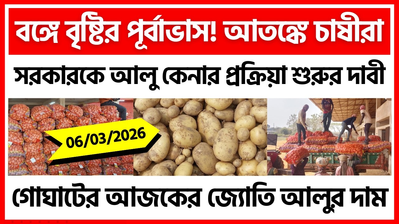 06/03/2026 : গোঘাটের তারাহাট আজকের নতুন আলুর দাম | New Potato Price in Tarahat - India Potato News