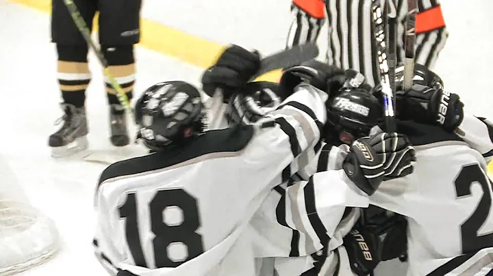 Roseville H.S. Hockey vs Eastridge