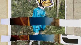 collage gif 1 Profile