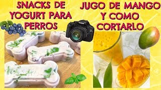 Snacks de Yogurt para Perros I Jugo de Mango y como cortarlo I Lorentix