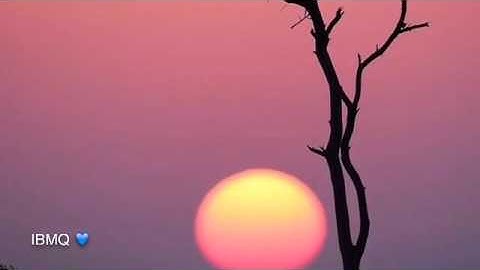 (216) سورة البقره