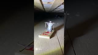 Это типа физкультура?