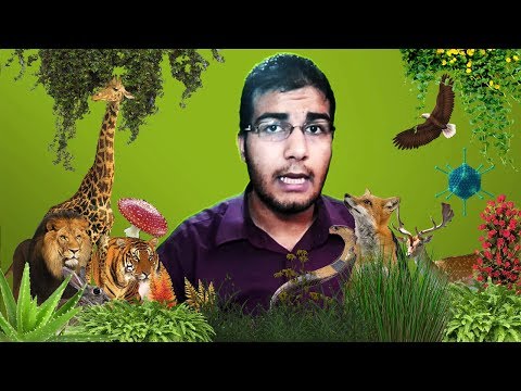 الممالك الخمسة