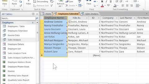 Excel 2010 Work with Microsoft Access Data in Microsoft Excel