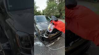 Yum Detailer 5L Fresh From The UK