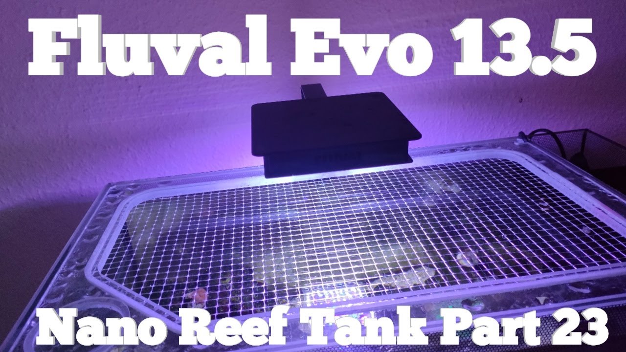 Fluval Evo 13.5 Nano Reef Tank! Part 23 (Fluval Sea Nano Marine LED In Depth Review)