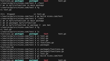 Functions and Structures in Golang