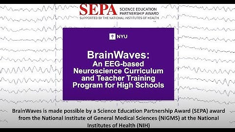 Controlling your Avatar on a Desktop Computer While in the BrainWaves Mozilla Hubs Environment