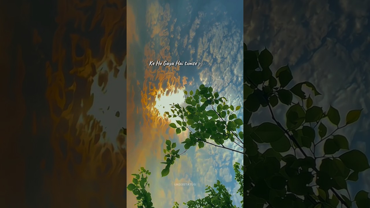 Bewafaa Shayari Status - Hindi Status Tube