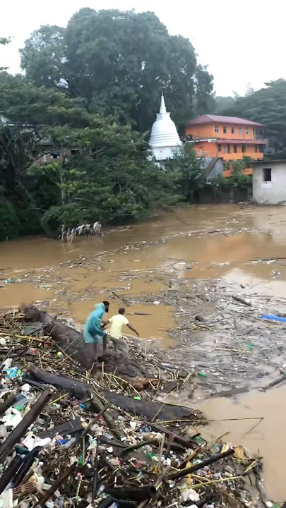 ඇයි මේ මිනිස්සු මෙච්චර මෝඩ 😓😣💔 #viral #flypシ #trending #srilanaka #ganwatura #sade #Rip #nayeyam