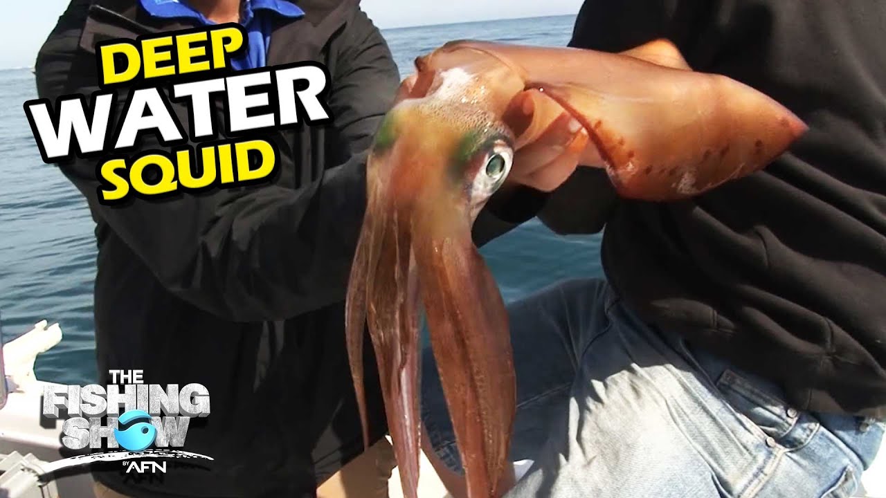 Deep Water Squid Tactics 