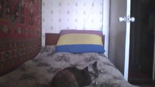 2013-04-05-090602