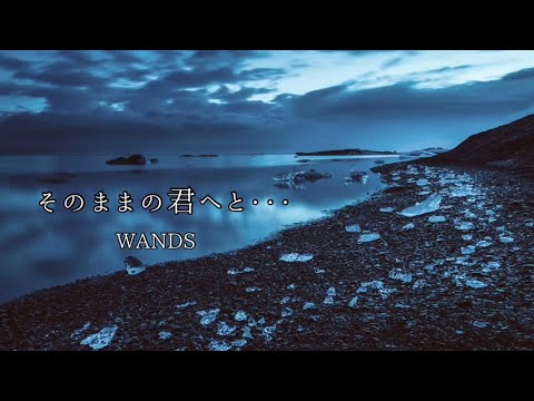 WANDS そのままの君へと