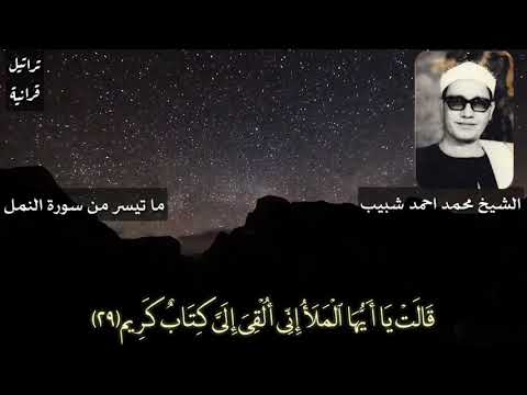 ق ال ت ي ا أ ي ه ا ال م ل أ بصوت الشيخ محمد احمد شبيب