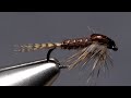 Phat and Phunky Pheasant Tail Nymph