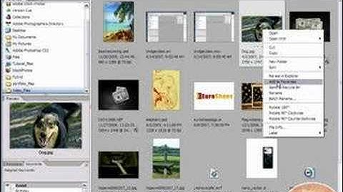 Adobe Bridge Tutorial - Learn the basics of the Bridge!