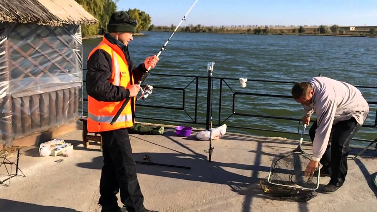 Хутор крестов рыбалка белгород