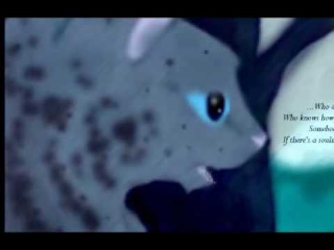 Warriors ~ How Do You Love Someone (Re-Upload)