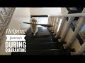 Lockdown activities with your dog | Indoor games for mental stimulation