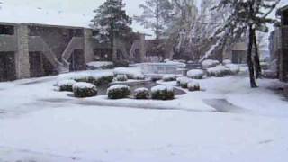 Winter Wonderland In March???