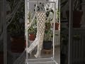 macrame crafting item order for comment #macrame#handicraft #handicraft#ytshorts#viral#viralvideo