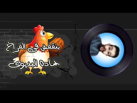 بنقفش فى الفراخ اجمد مزمار 2022 