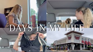 VLOG: life updates, new job, shopping