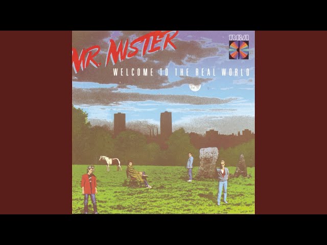 MR. MISTER - BLACKWHITE