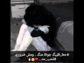 اسفه ياقلبي