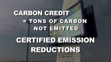 Emission Offsets and Carbon Credits