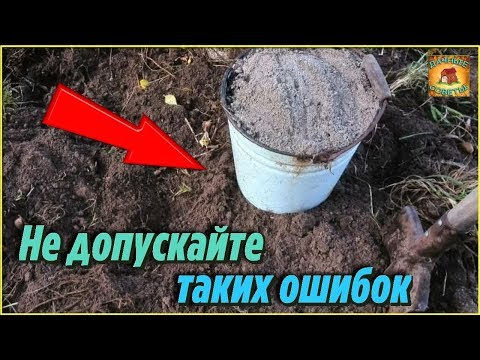 Главные ОШИБКИ которые совершают огородники ОСЕНЬЮ в САДУ и ОГОРОДЕ Делюсь своими СОВЕТАМИ