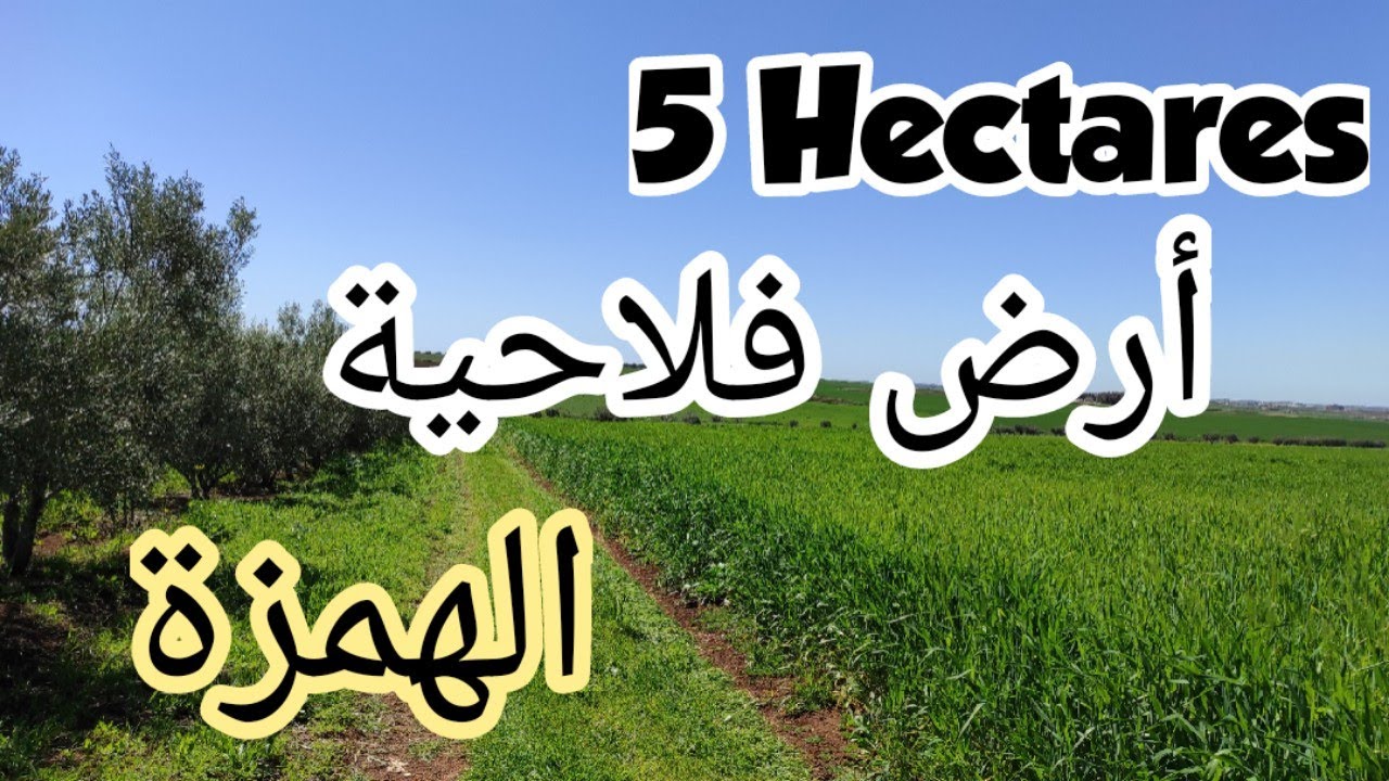 ✨هاا الهمزة جآت✨ أرض فلاحية 5 هكتارات نواحي مكناس ب 30 مليون للهكتار، لمشرى إتنزه الطبيعة ماشاء الله