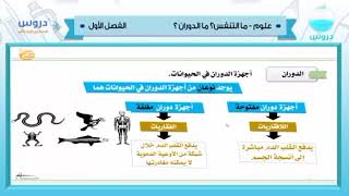 أجهزة الدوران في الحيوانات المفتوحة والمغلقة