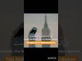 Surah Al-Ahzab ayah 35_Equality of Men and Women in Islam #islamic feed # shorts
