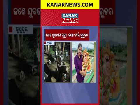 Tragic Road Accident in Rayagada! Two Killed After Scooter Crashes into Electric Pole in Gunupur
