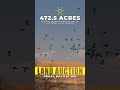 472 Acres of PRIME Kansas Land Selling TODAY | Cowley County Auction