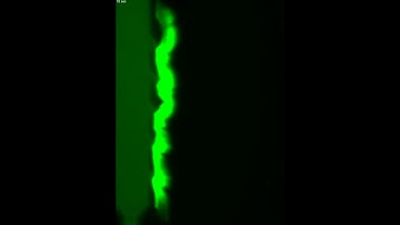 Time lapse video as the drug occupies the small intervening space or interstice