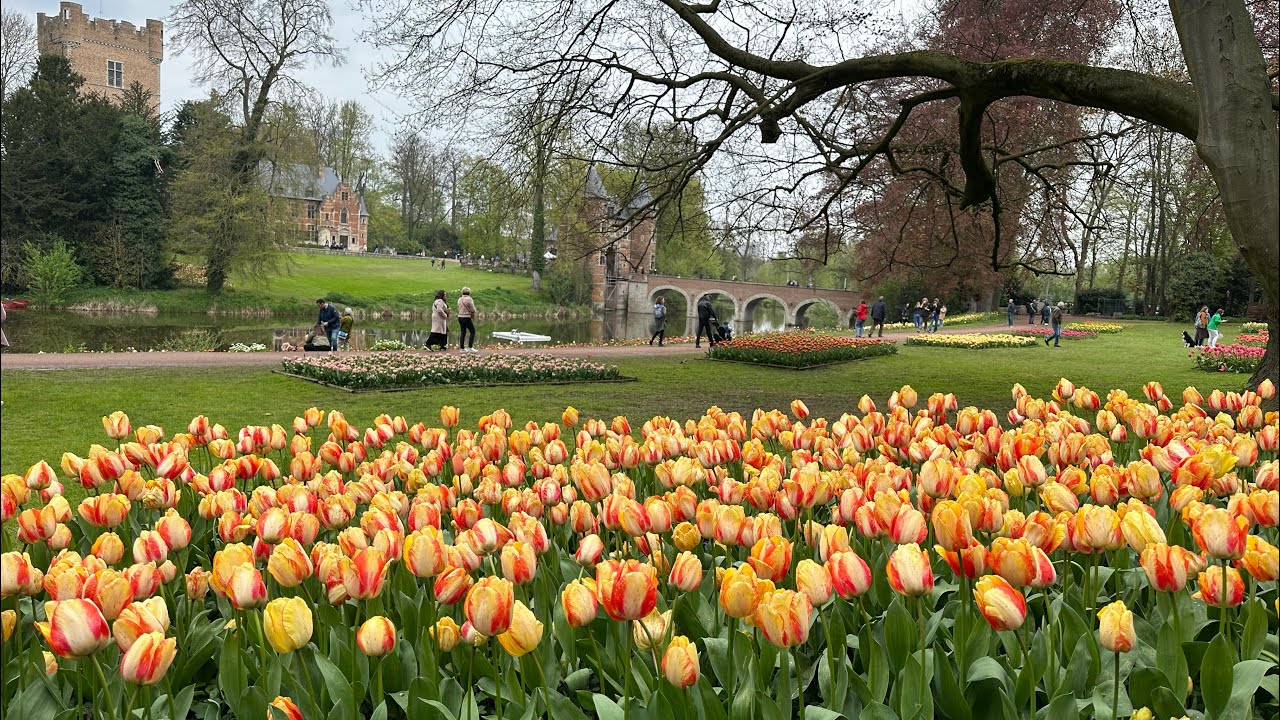 floralia-brussels-flower-exposition-at-groot-bijgaarden-park-youtube