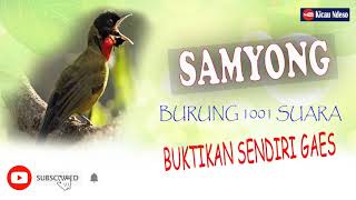 Samyong Gacor Dengan Variasi Tembakan