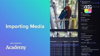 Importing Media in Final Cut Pro — Final Cut Pro Lesson 03 - MotionVFX Academy