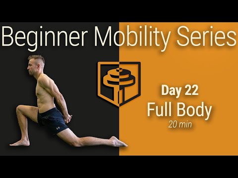 Day 22: Full Body Mobility | 20 Minutes | Beginner Mobility Series