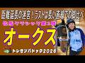 《オークス》牝馬クラシック第2戦。距離延長の迷宮!ラストは長い直線での脚比べ!!//全出走馬18頭を見て相馬眼を磨き、勝馬を探す『必須動画』【トレセンパドック2026】
